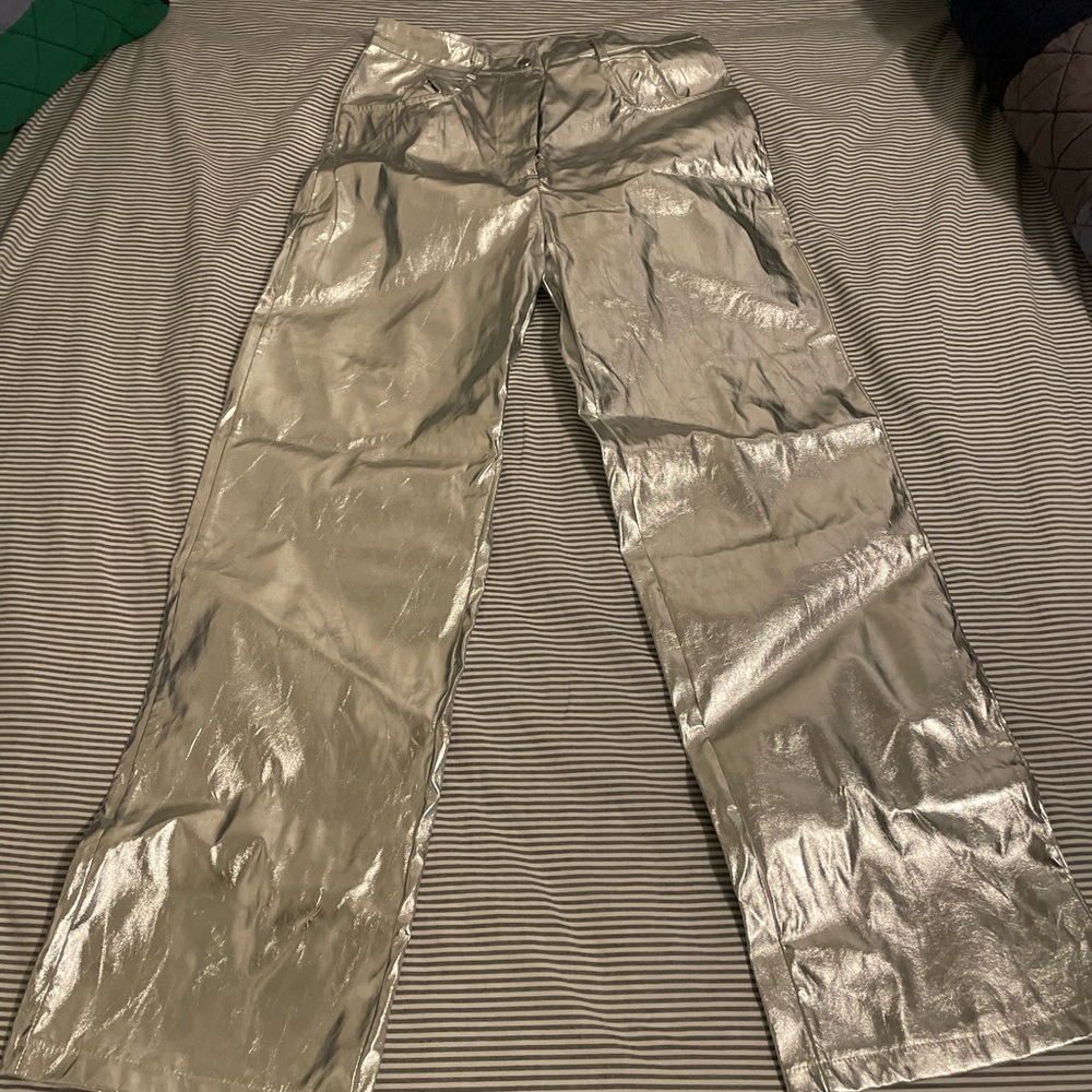 Shiny Silver Pants